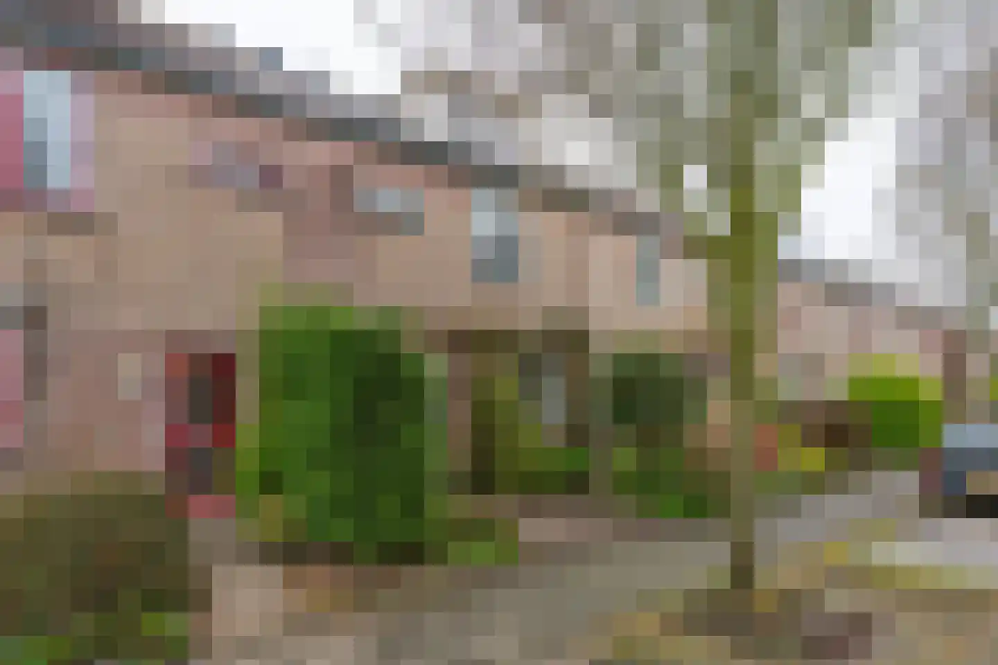 Hélène Swarthlaan 3 Oegstgeest thumbnail 35