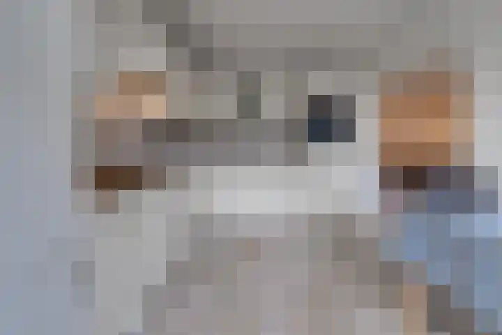 Hélène Swarthlaan 32 Groningen thumbnail 17