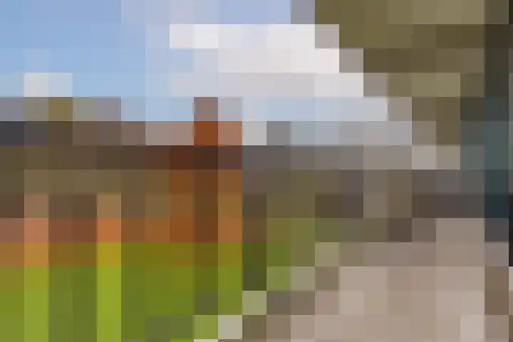 Hélène Swarthlaan 32 Groningen thumbnail 19