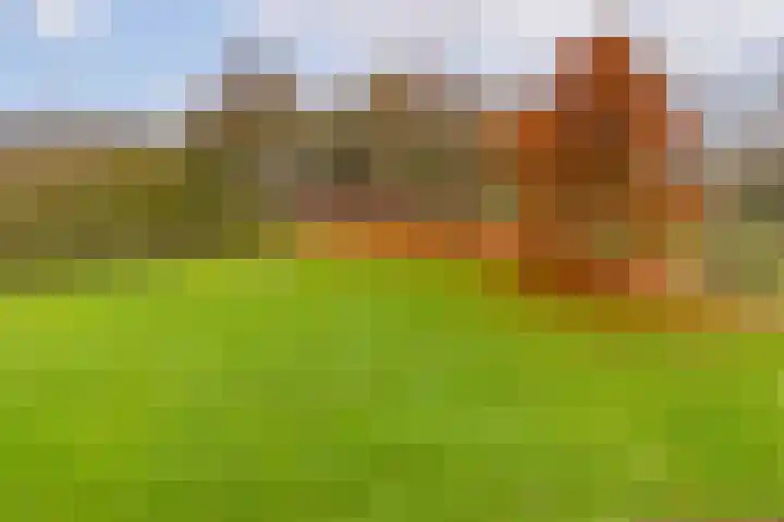 Hélène Swarthlaan 32 Groningen thumbnail 4