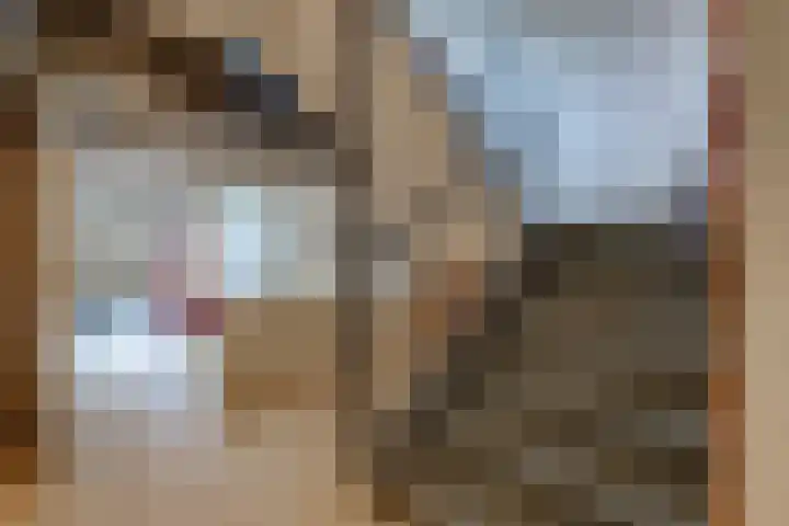 Hélène Swarthlaan 32 Groningen thumbnail 9