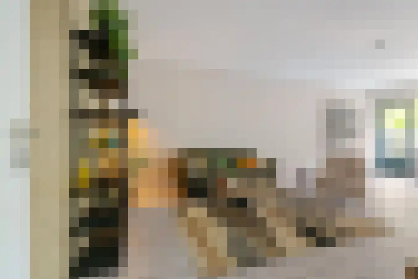 Hélène Swarthlaan 65 Groningen thumbnail 10