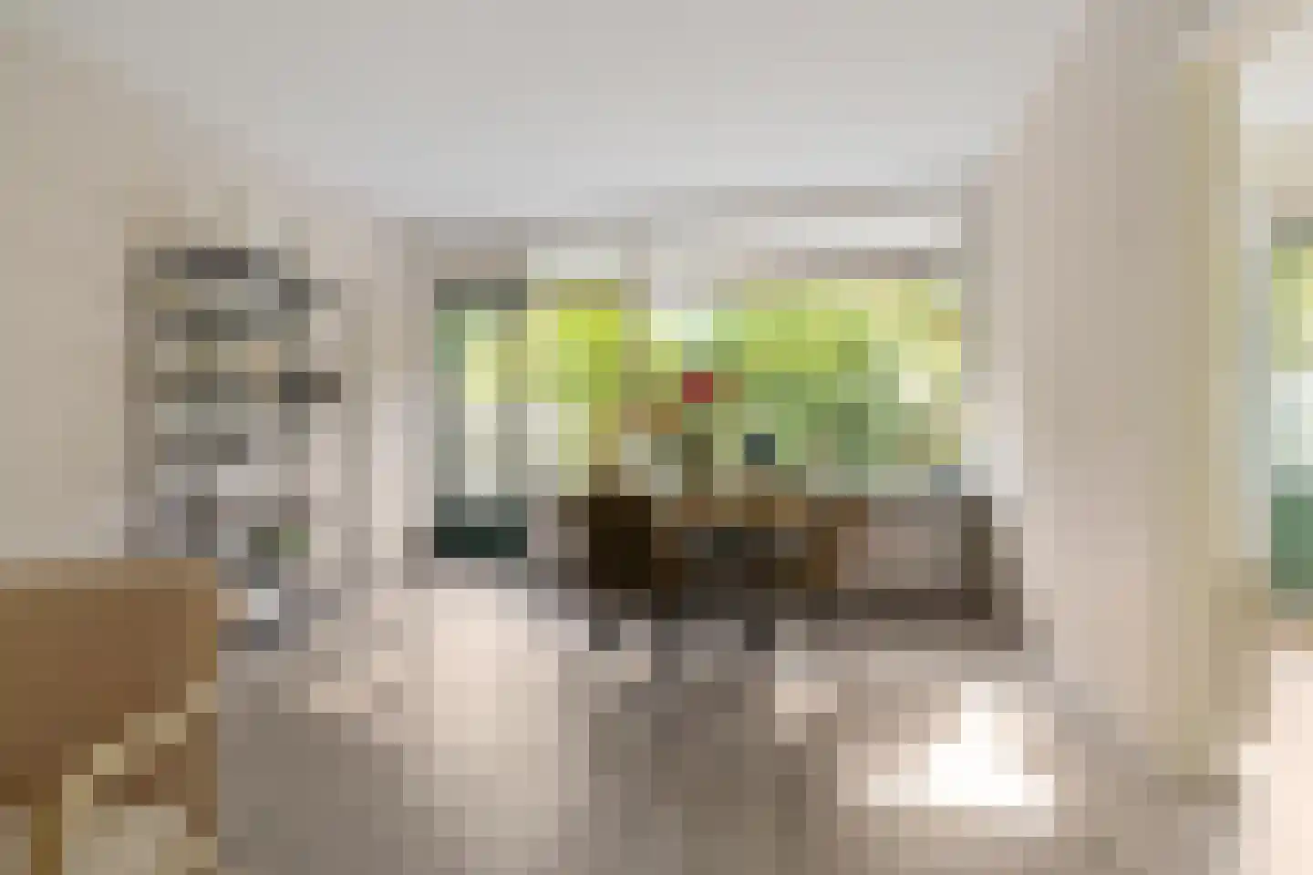 Hélène Swarthlaan 65 Groningen thumbnail 13