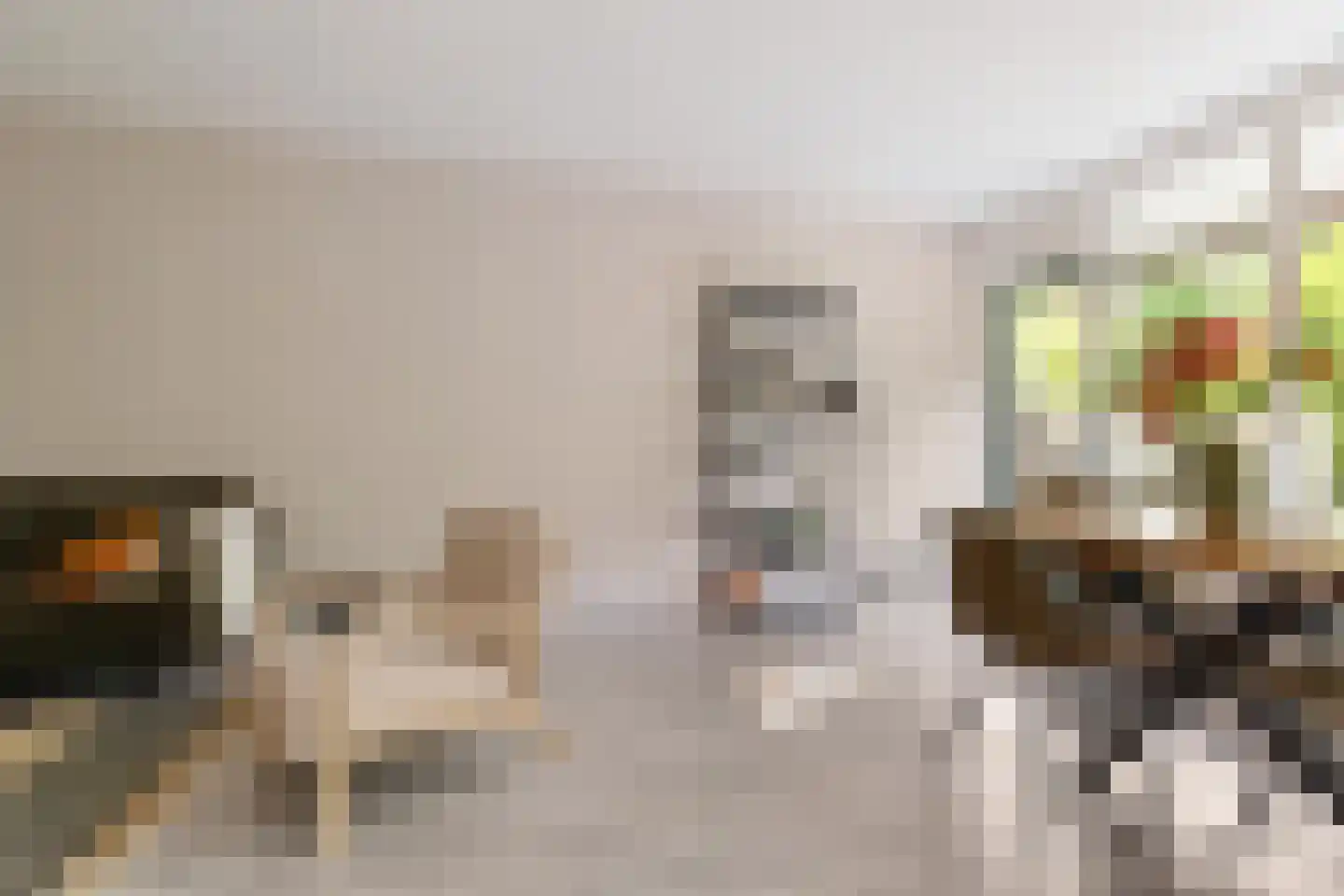 Hélène Swarthlaan 65 Groningen thumbnail 16