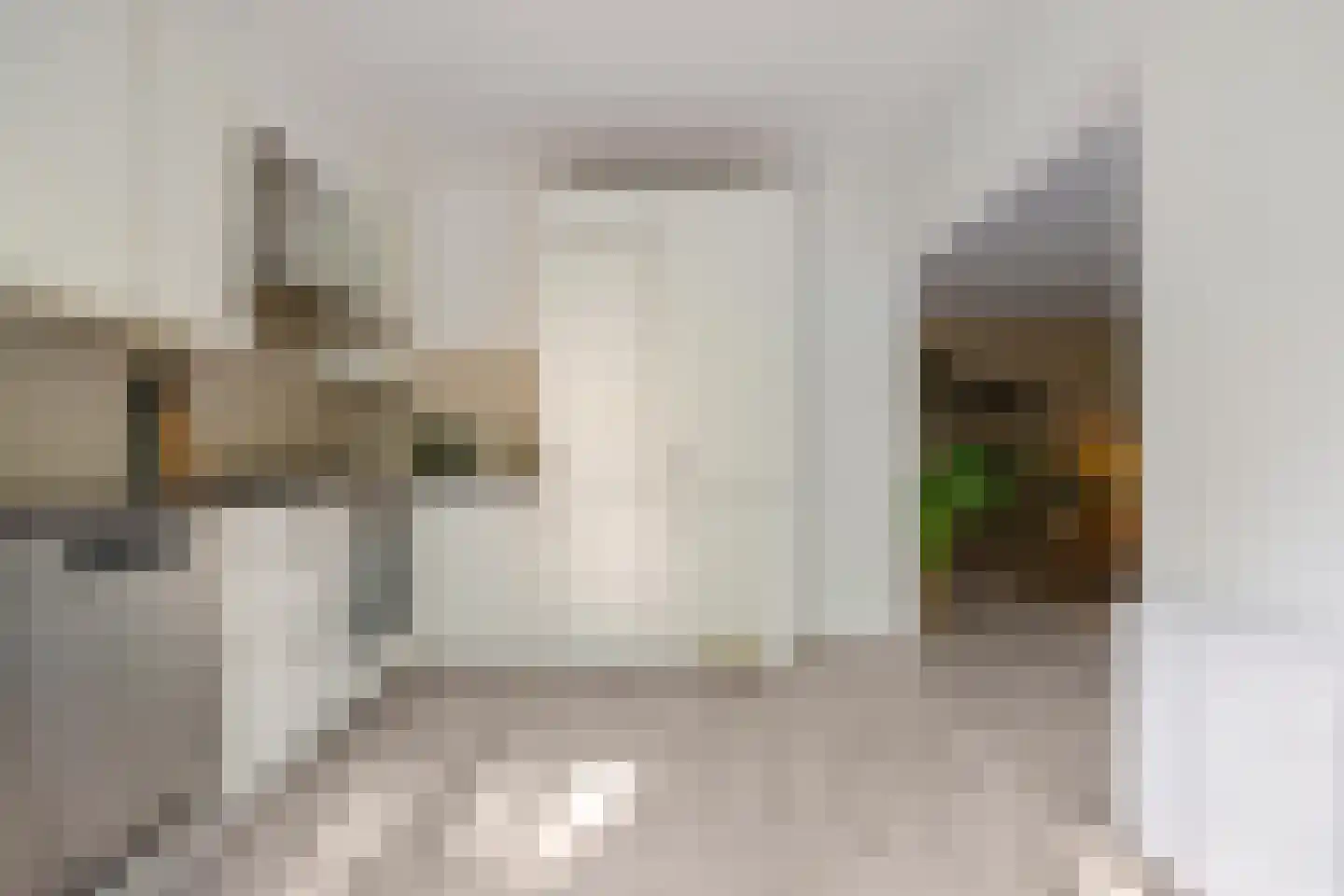 Hélène Swarthlaan 65 Groningen thumbnail 20