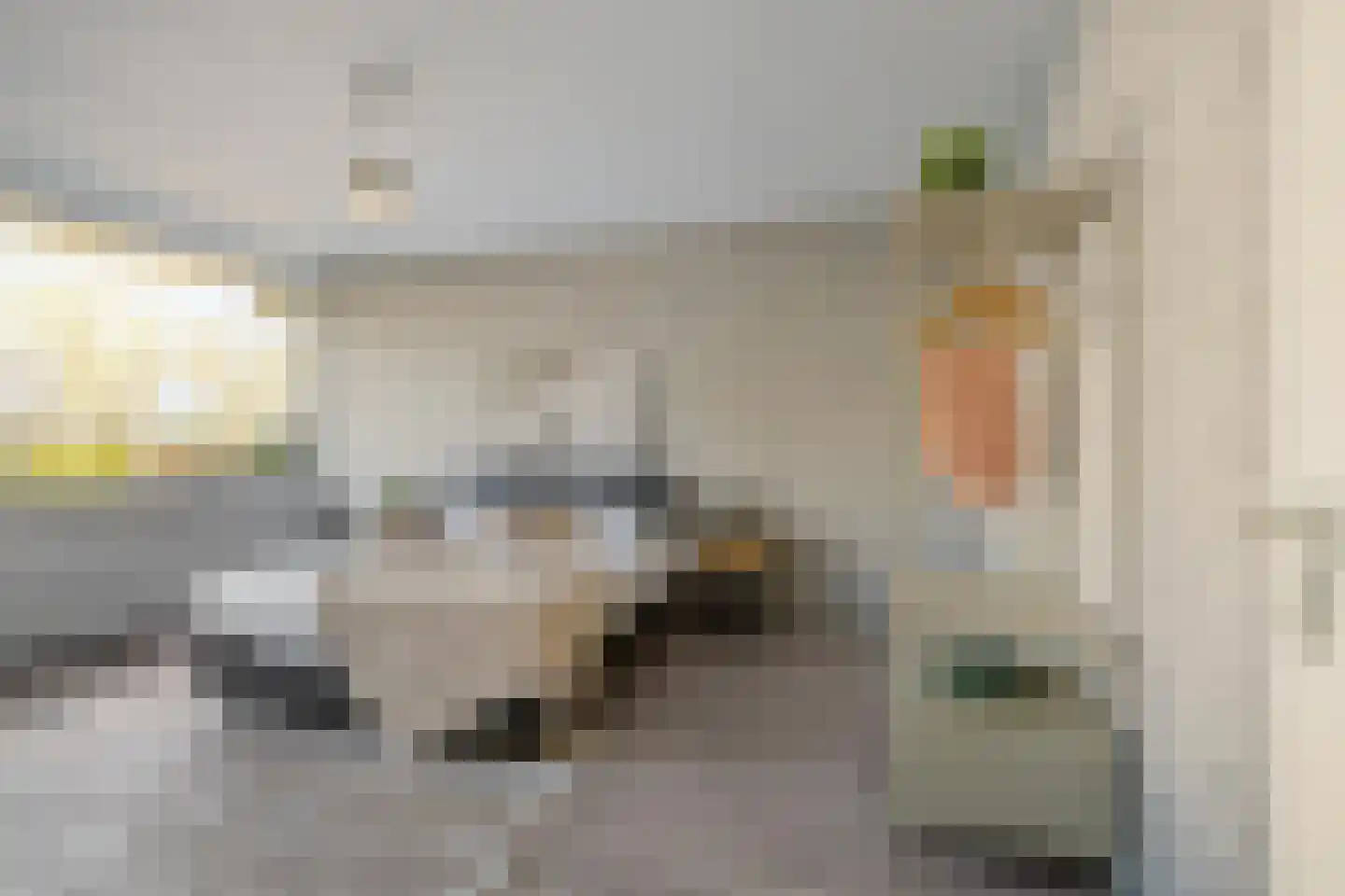 Hélène Swarthlaan 65 Groningen thumbnail 26