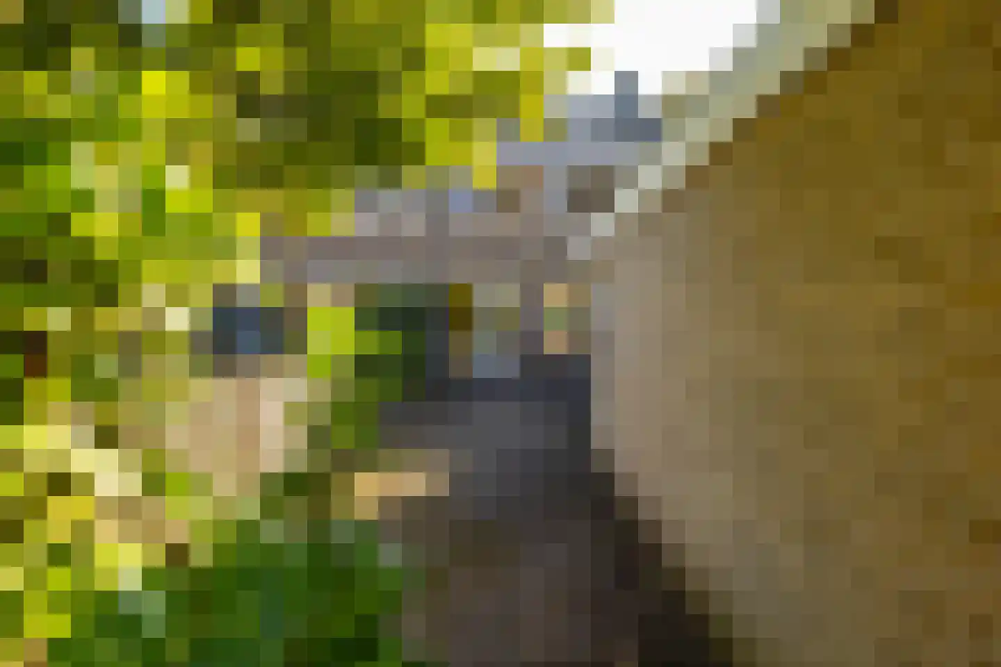 Hélène Swarthlaan 89 Groningen thumbnail 30