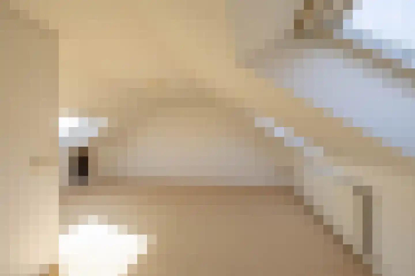 Hélène Swarthlaan 89 Groningen thumbnail 46