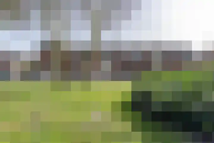 Helene Swarthplantsoen 18 Hazerswoude-Rijndijk thumbnail 17