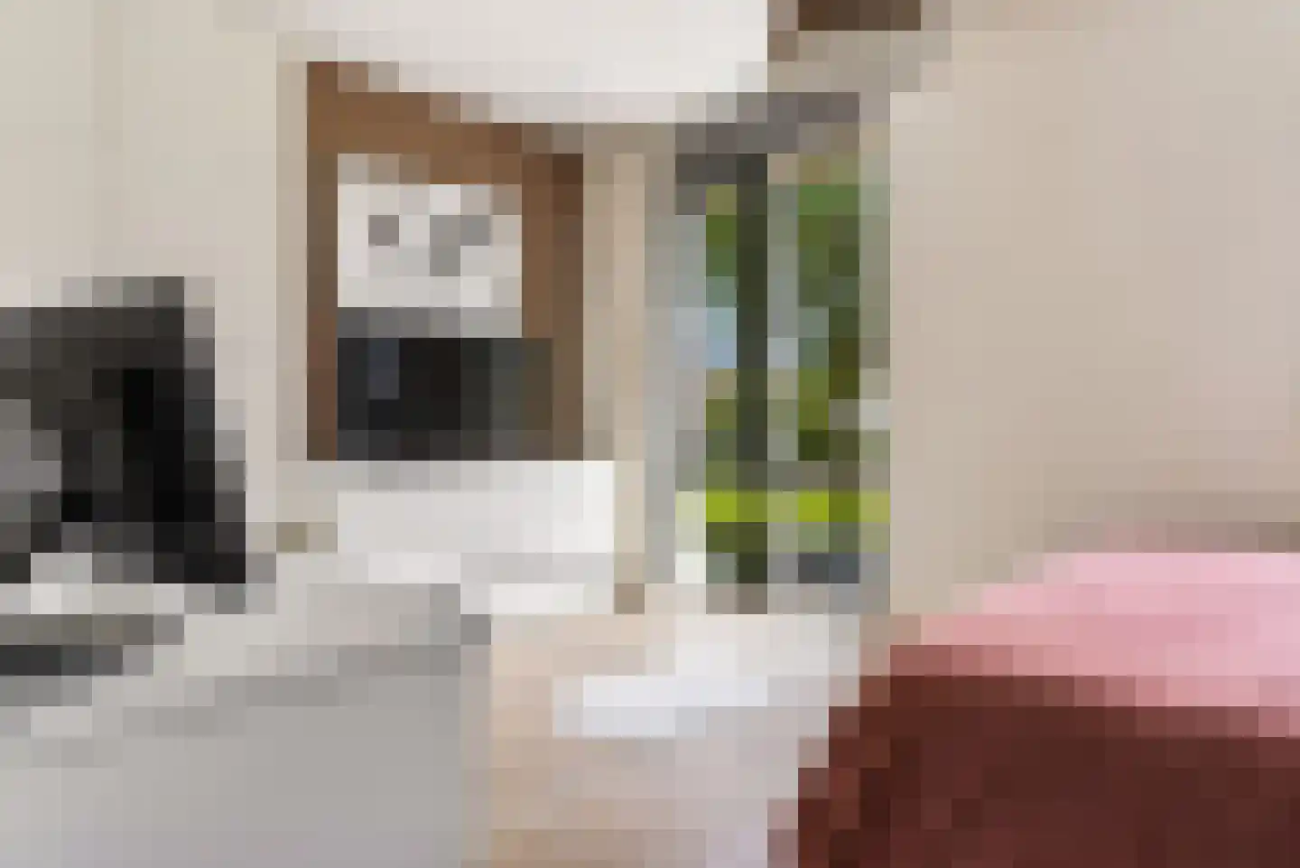 Hélène Swarthplantsoen 21 De Meern thumbnail 15