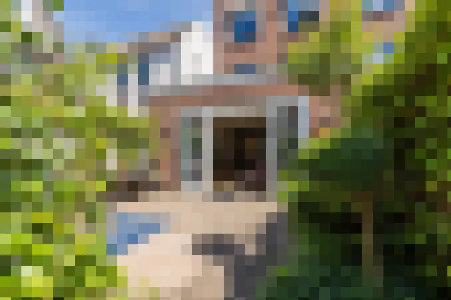 Hélène Swarthplantsoen 4 De Meern thumbnail 21