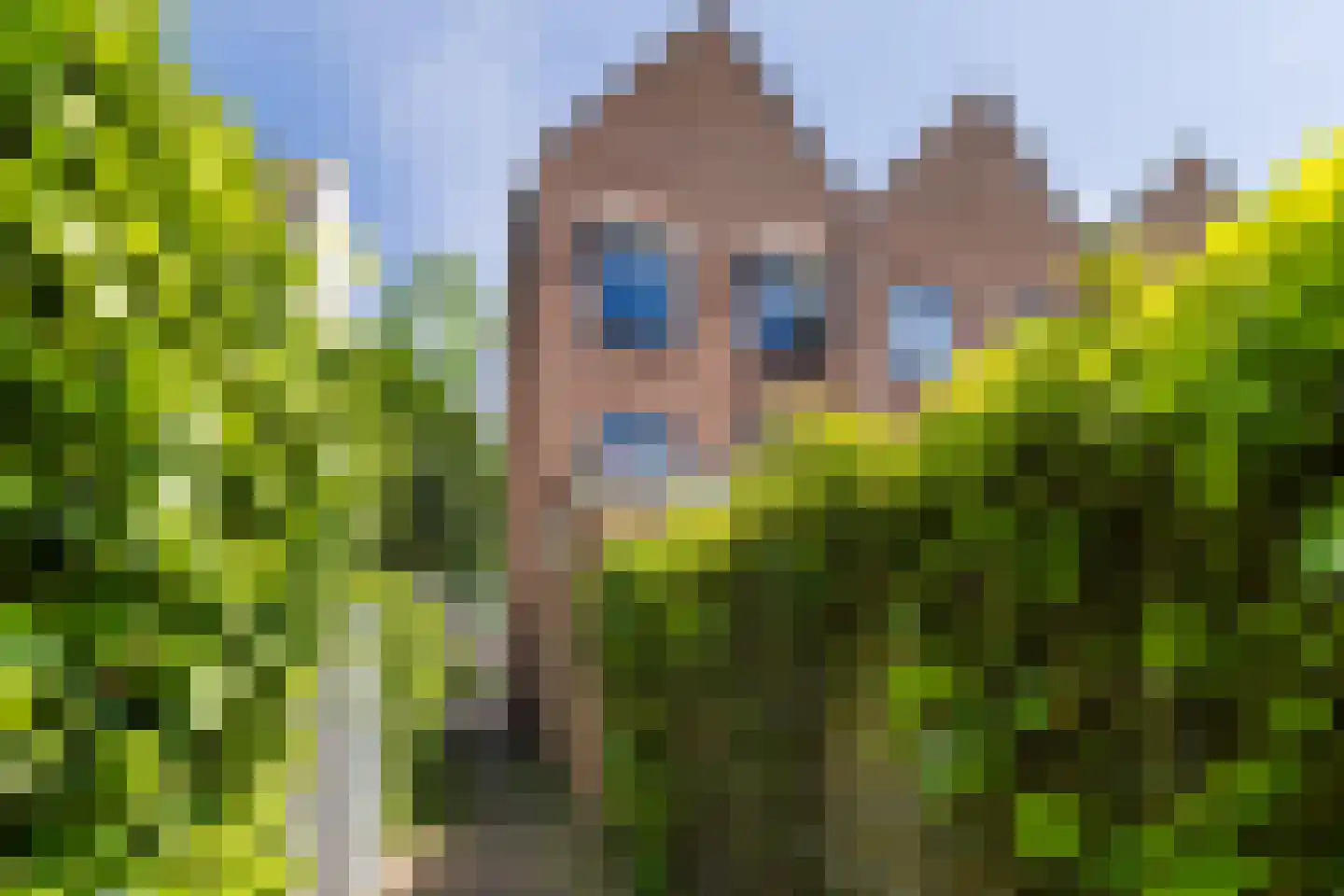 Hélène Swarthplantsoen 4 De Meern thumbnail 77