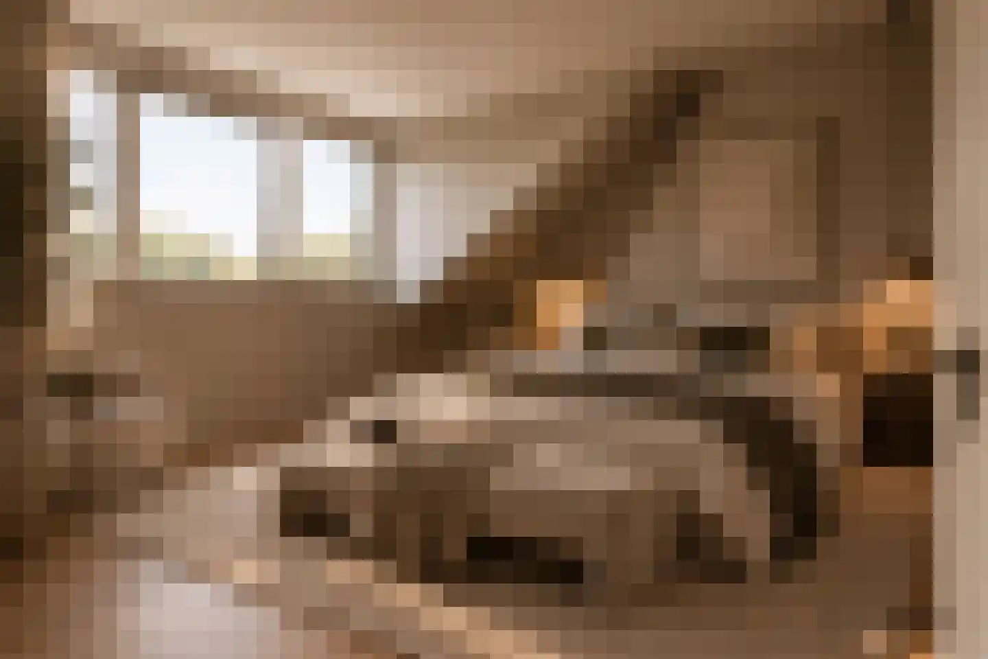 Hélène Swarthstraat 11 Rotterdam thumbnail 5