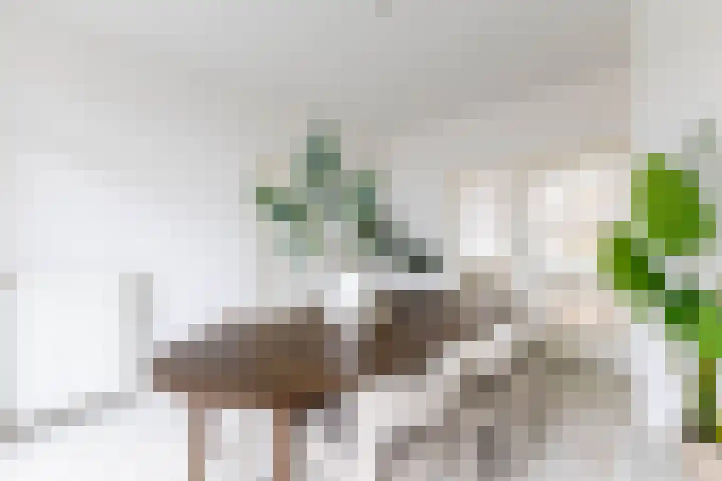 Hélène Swarthstraat 13 D Rotterdam thumbnail 13