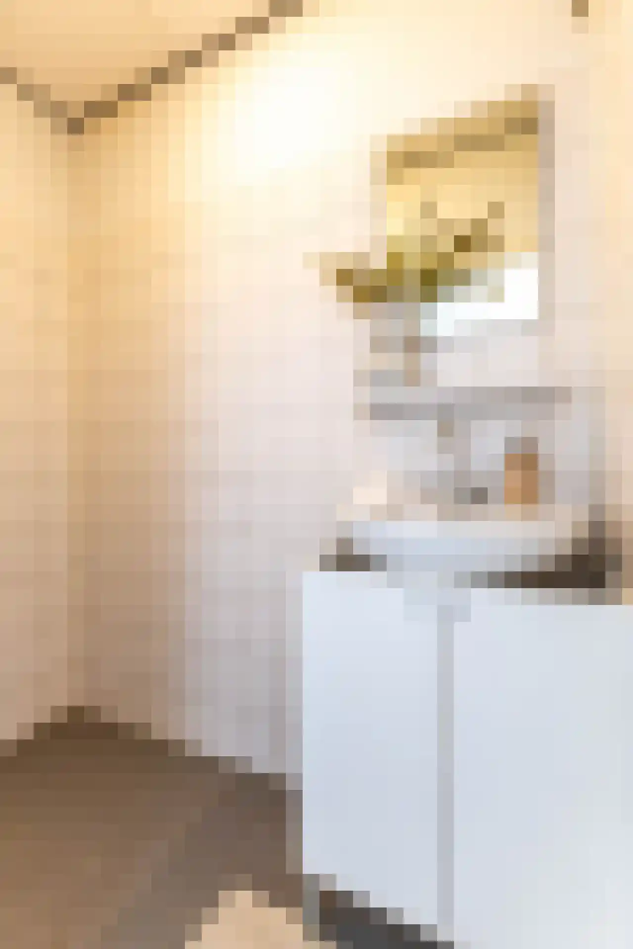 Hélène Swarthstraat 13 D Rotterdam thumbnail 17