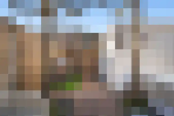 Hélène Swarthstraat 14 Spijkenisse thumbnail 13
