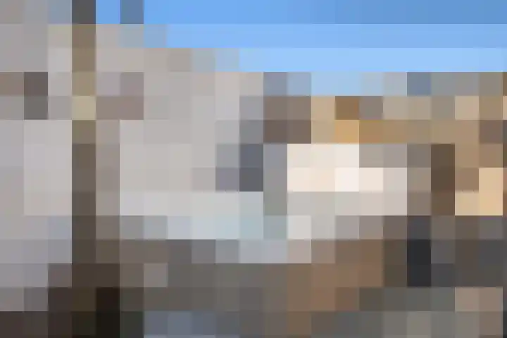 Hélène Swarthstraat 14 Spijkenisse thumbnail 16