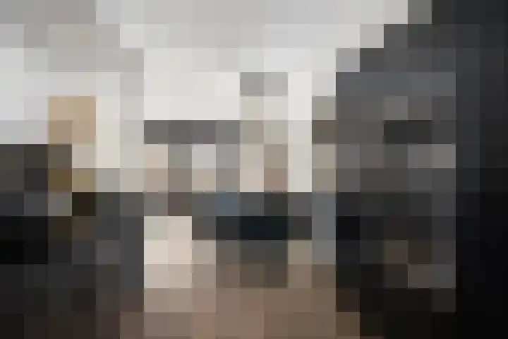 Hélène Swarthstraat 14 Spijkenisse thumbnail 18