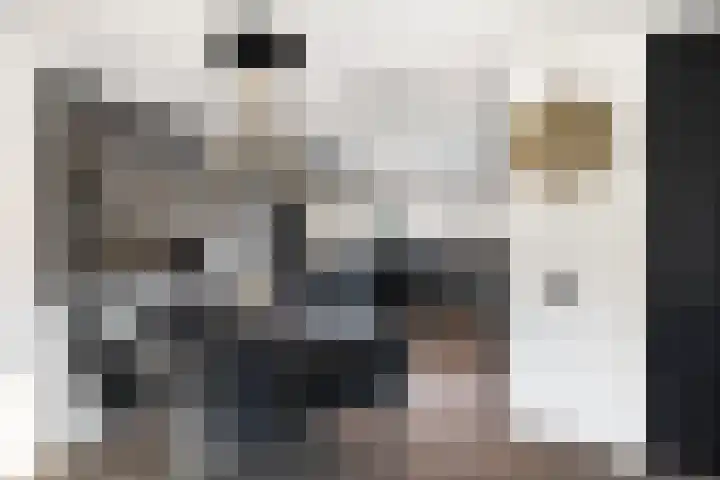 Hélène Swarthstraat 14 Spijkenisse thumbnail 19