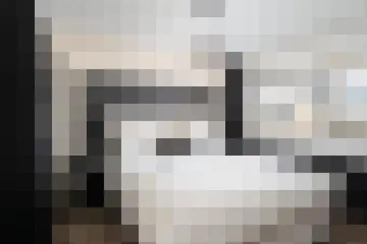Hélène Swarthstraat 14 Spijkenisse thumbnail 22