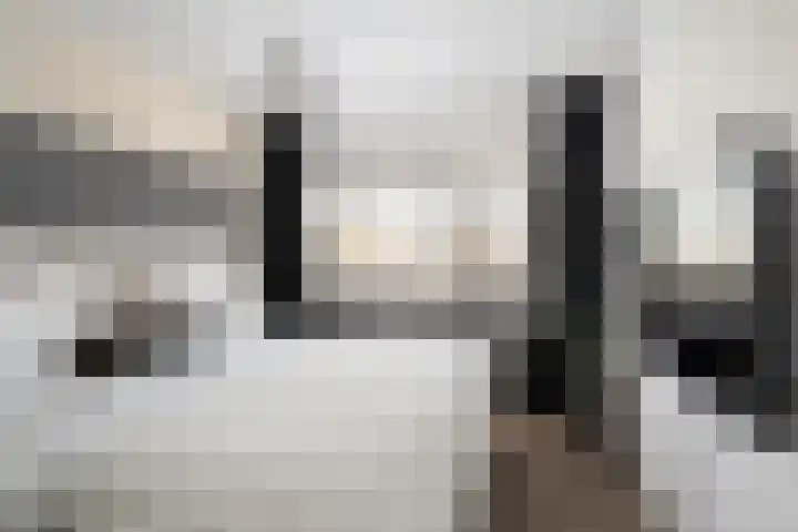 Hélène Swarthstraat 14 Spijkenisse thumbnail 23