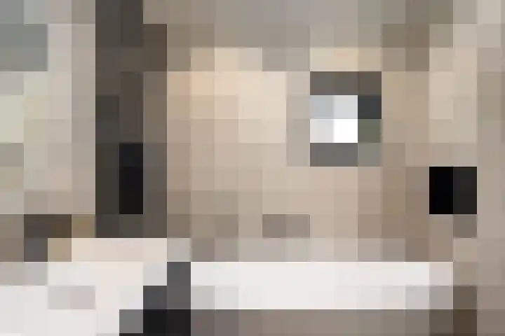 Hélène Swarthstraat 14 Spijkenisse thumbnail 29