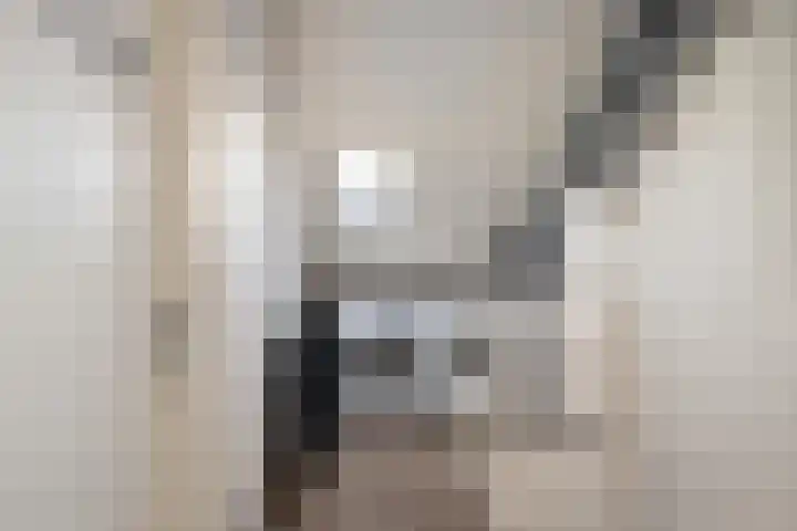 Hélène Swarthstraat 14 Spijkenisse thumbnail 31