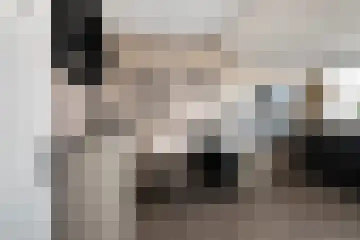 Hélène Swarthstraat 14 Spijkenisse thumbnail 33