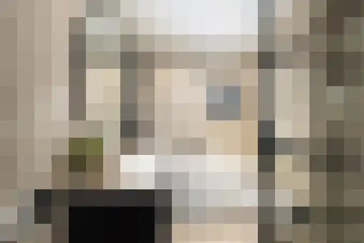 Hélène Swarthstraat 14 Spijkenisse thumbnail 4