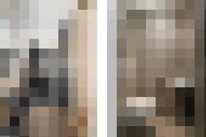 Hélène Swarthstraat 14 Spijkenisse thumbnail 7