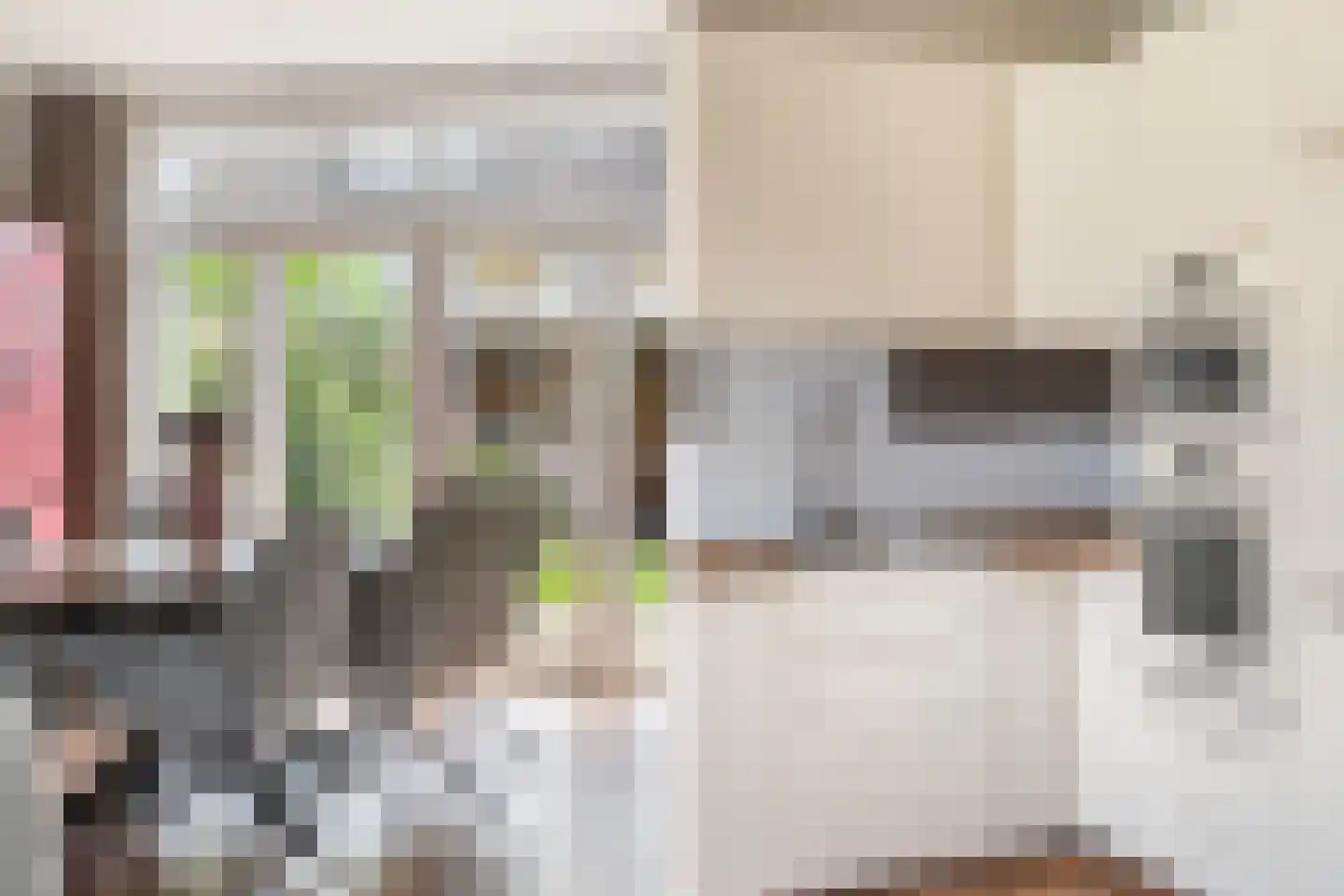 Helene Swarthstraat 14 Zwolle thumbnail 11