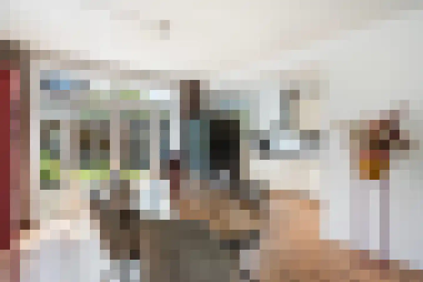 Helene Swarthstraat 14 Zwolle thumbnail 12