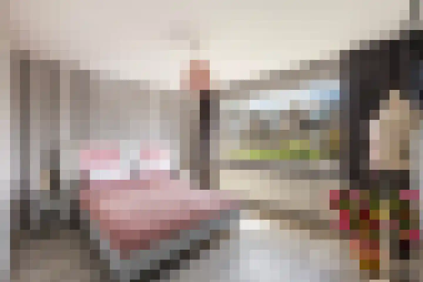Helene Swarthstraat 14 Zwolle thumbnail 16