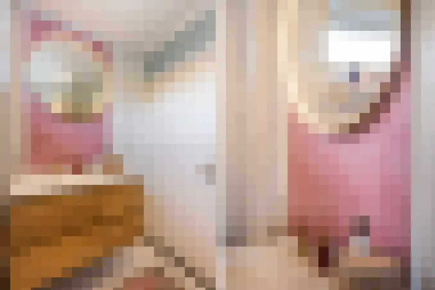Helene Swarthstraat 14 Zwolle thumbnail 21
