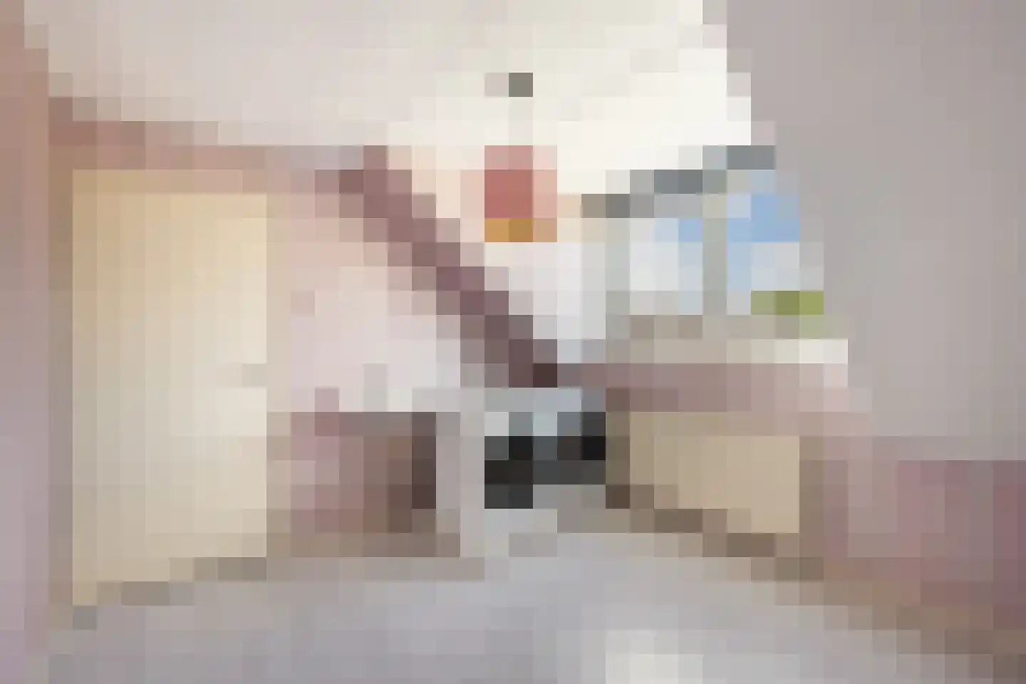 Helene Swarthstraat 14 Zwolle thumbnail 25