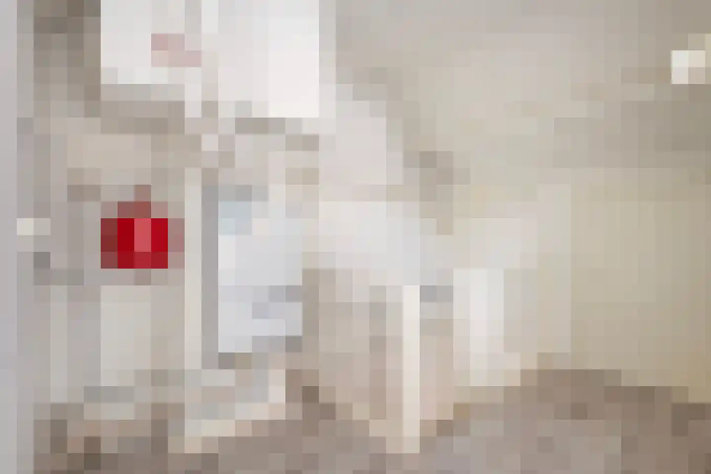 Helene Swarthstraat 14 Zwolle thumbnail 26