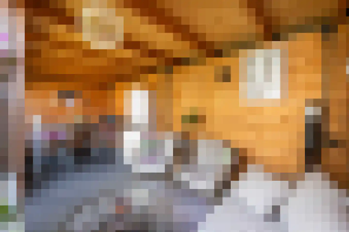 Helene Swarthstraat 14 Zwolle thumbnail 27