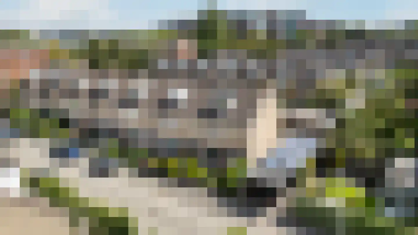 Helene Swarthstraat 14 Zwolle thumbnail 4