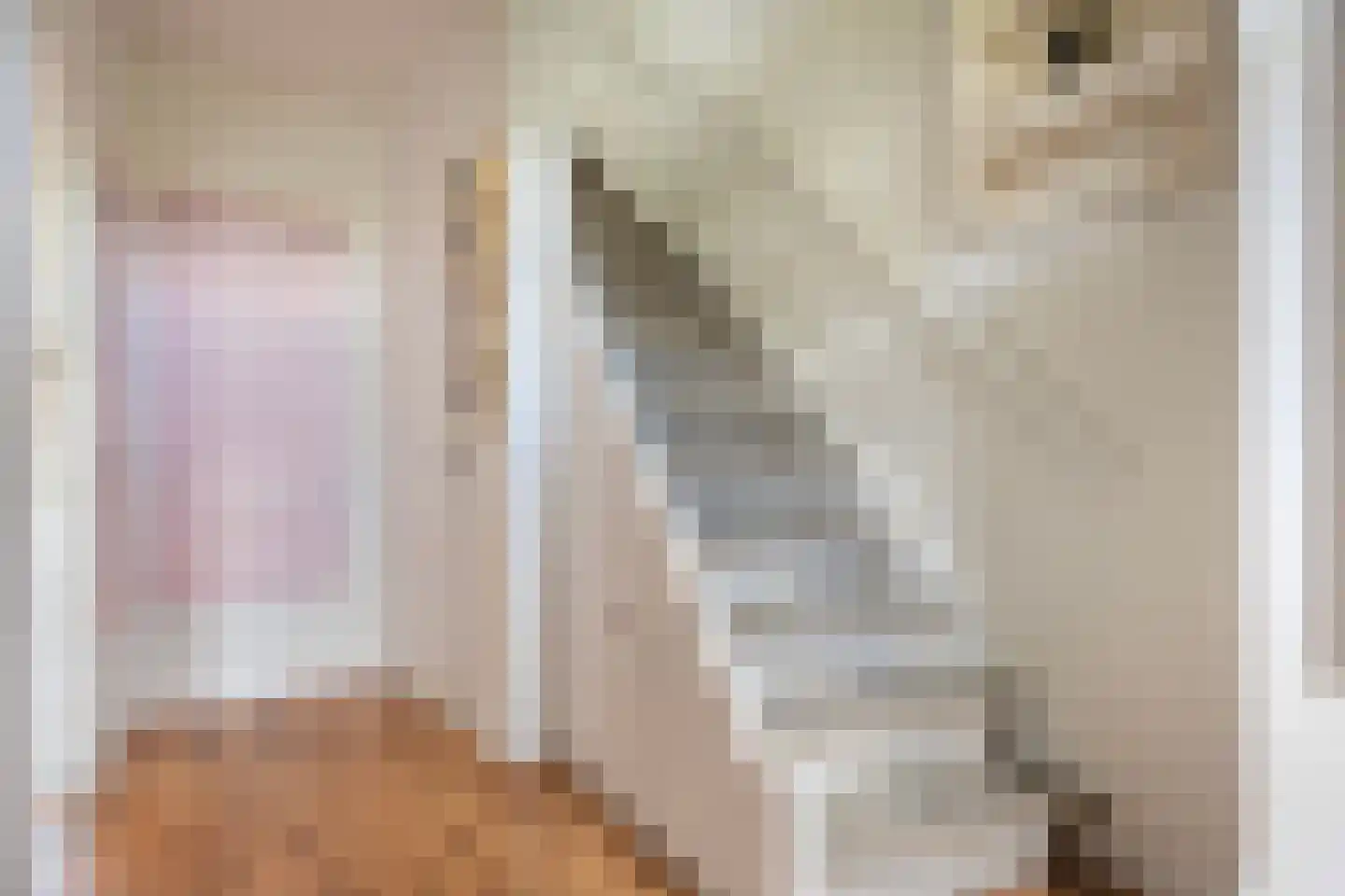 Helene Swarthstraat 14 Zwolle thumbnail 5