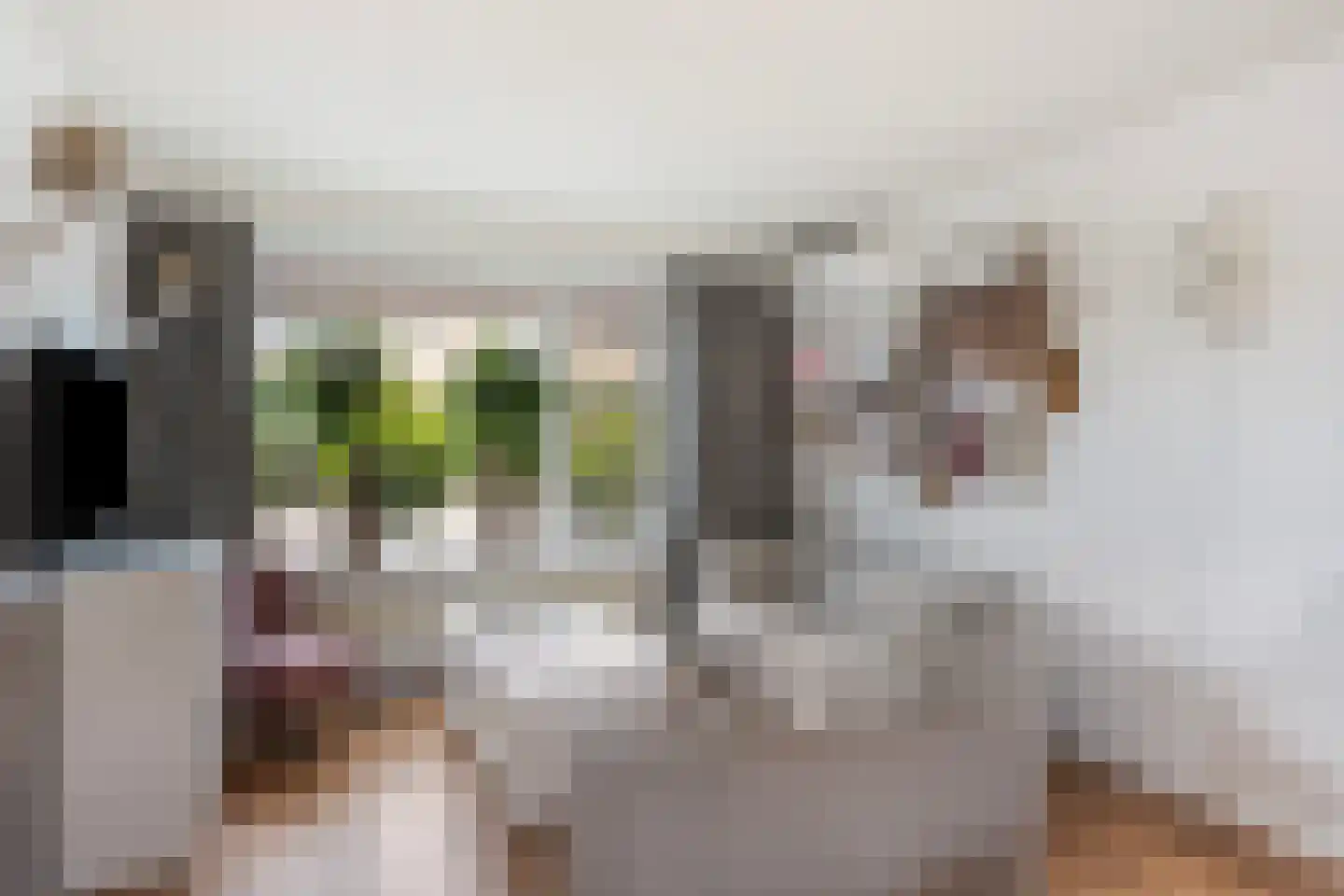 Helene Swarthstraat 14 Zwolle thumbnail 8