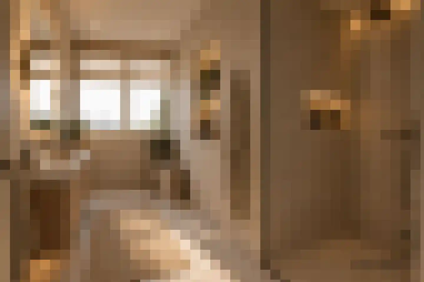Hélène Swarthstraat 15 Rotterdam thumbnail 6