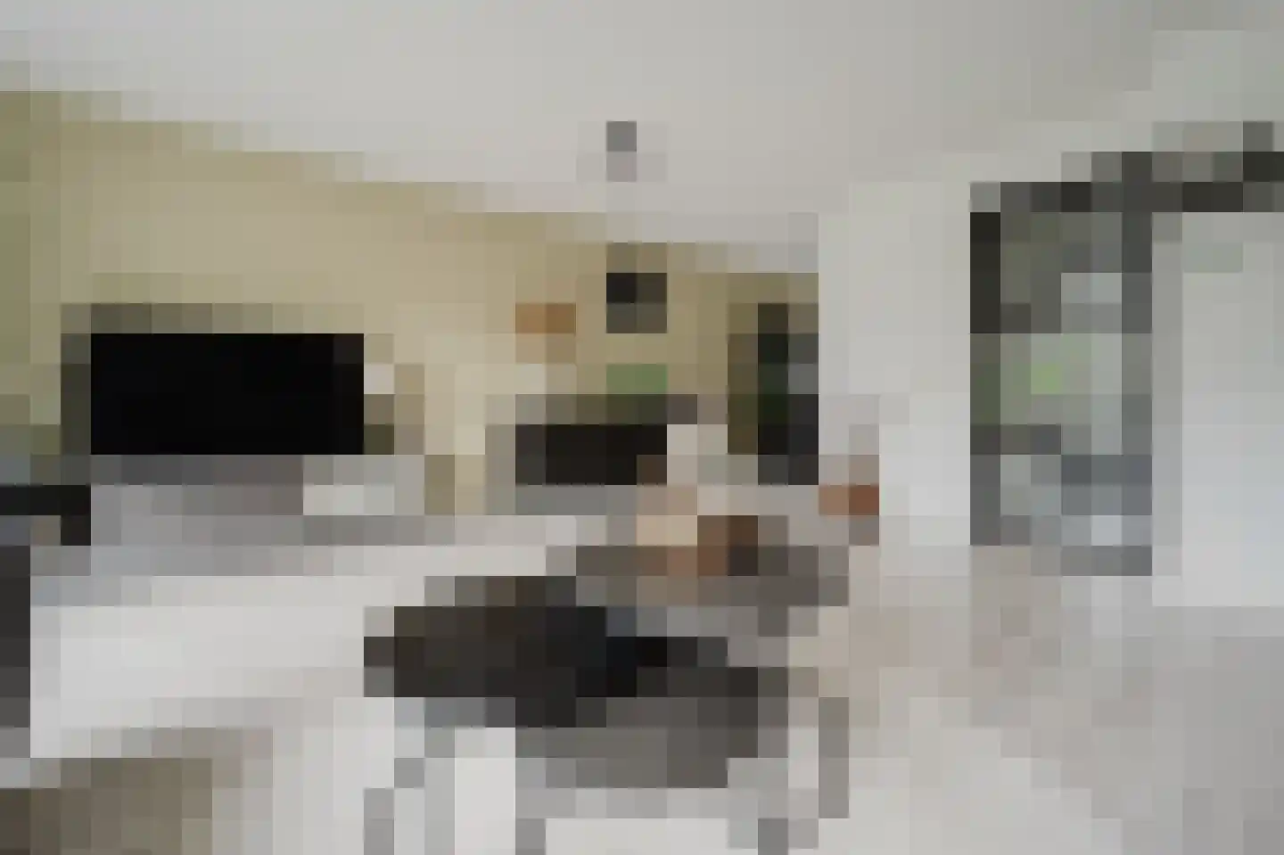 Hélène Swarthstraat 2 Spijkenisse thumbnail 10