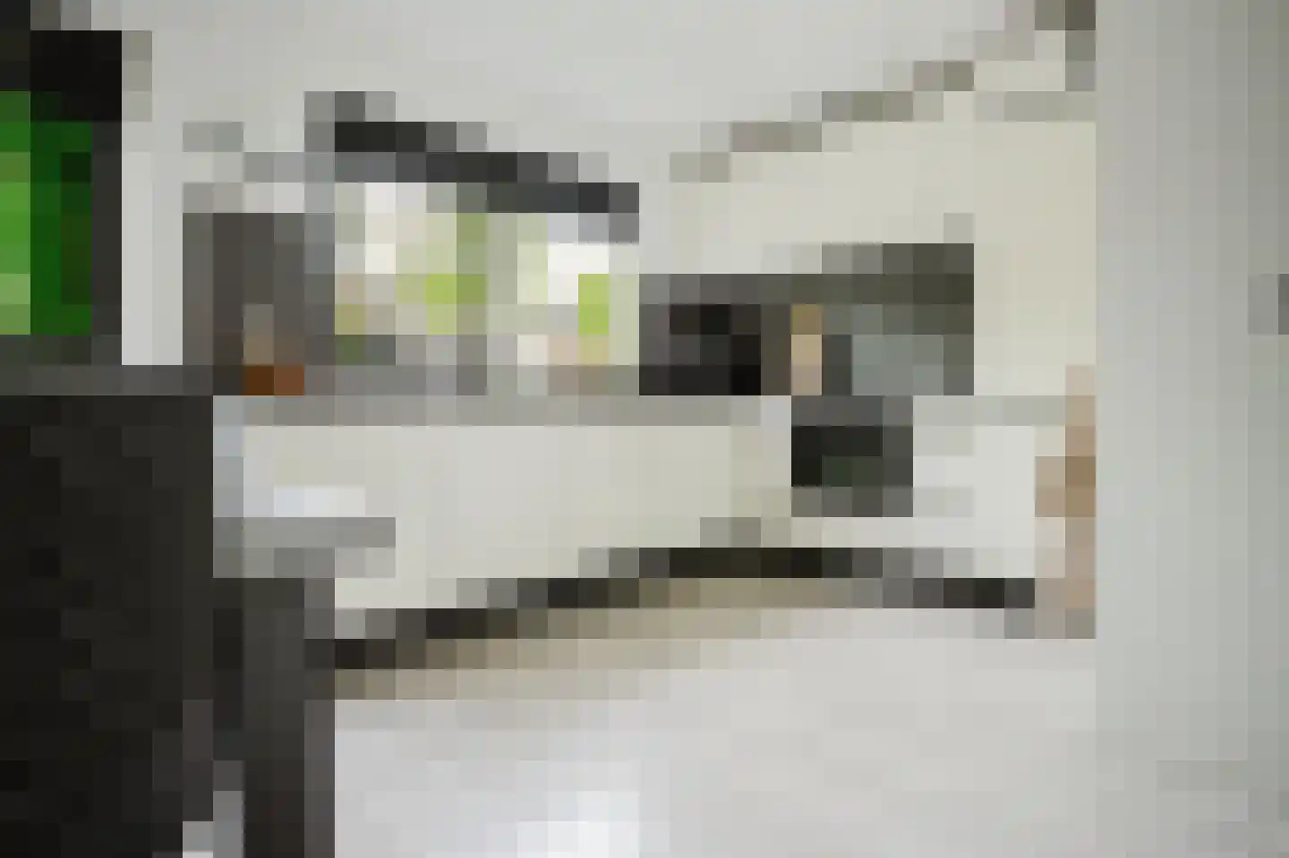 Hélène Swarthstraat 2 Spijkenisse thumbnail 12