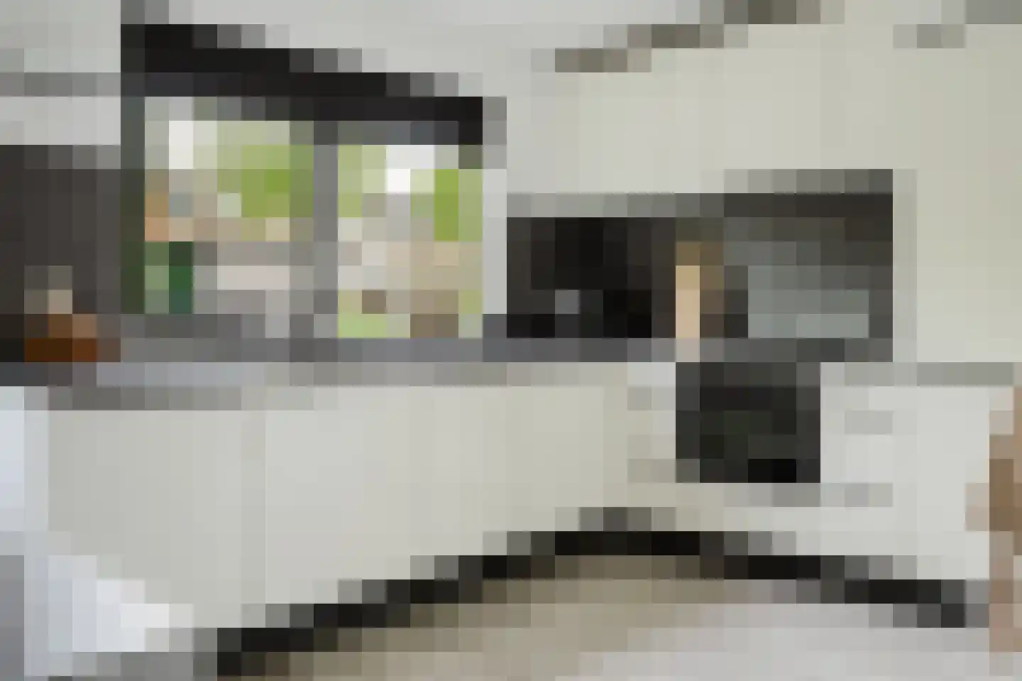 Hélène Swarthstraat 2 Spijkenisse thumbnail 13
