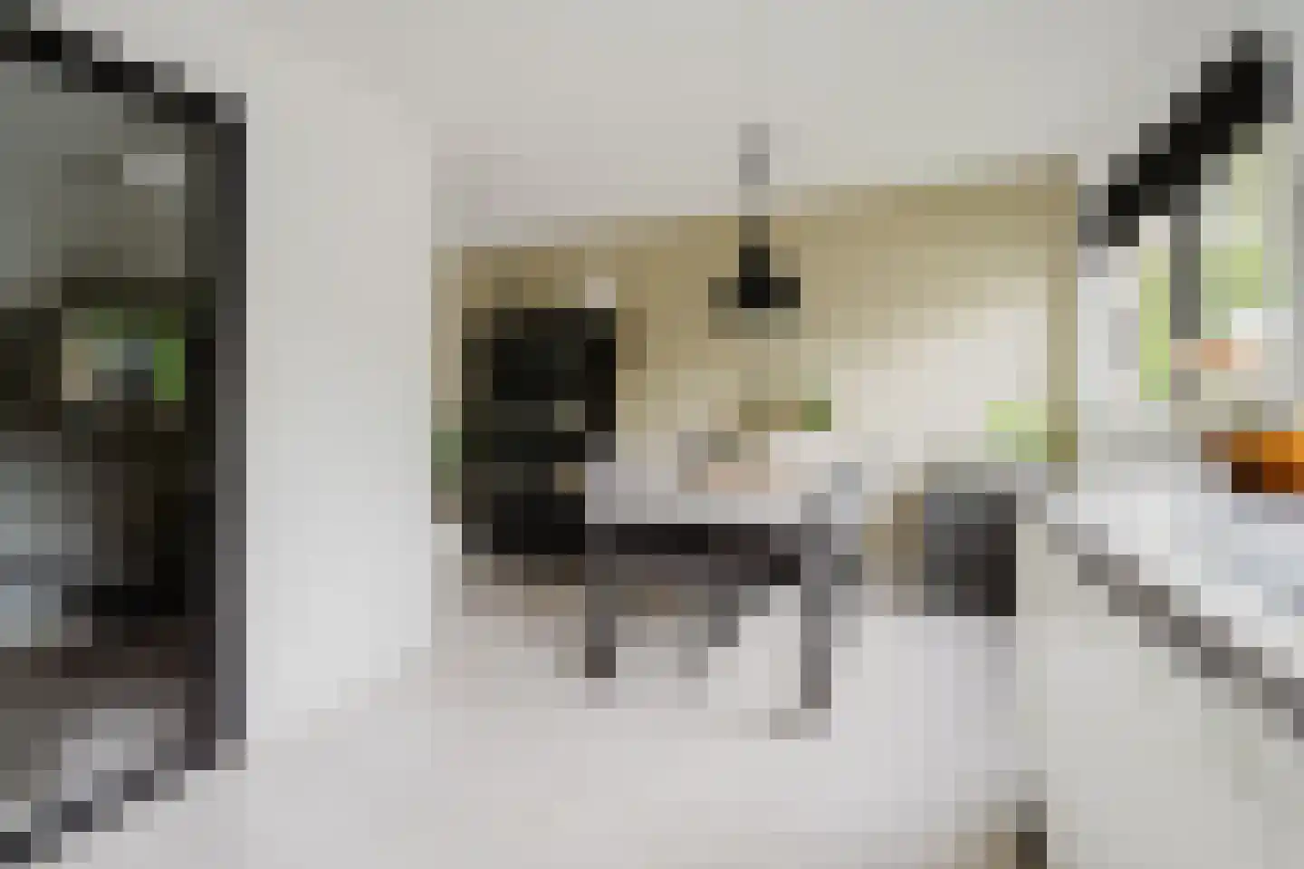 Hélène Swarthstraat 2 Spijkenisse thumbnail 14