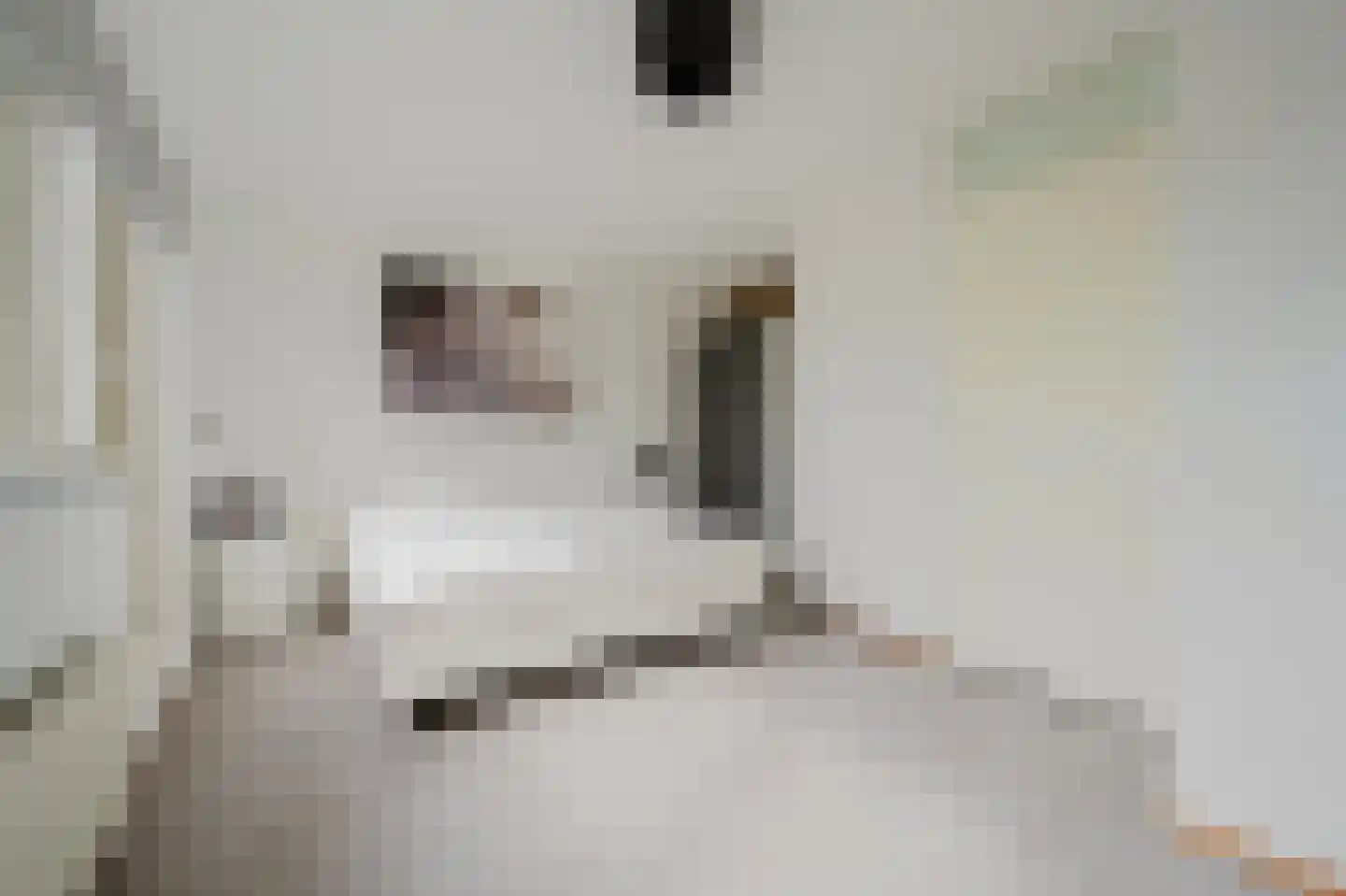 Hélène Swarthstraat 2 Spijkenisse thumbnail 18