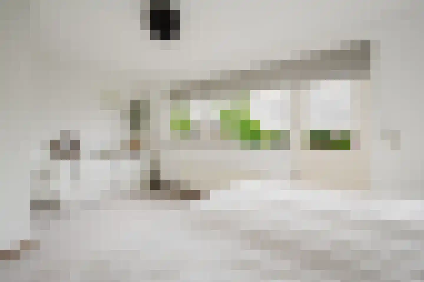 Hélène Swarthstraat 2 Spijkenisse thumbnail 19