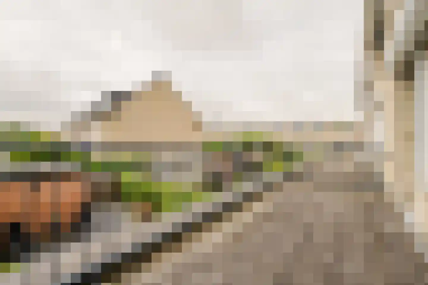 Hélène Swarthstraat 2 Spijkenisse thumbnail 20