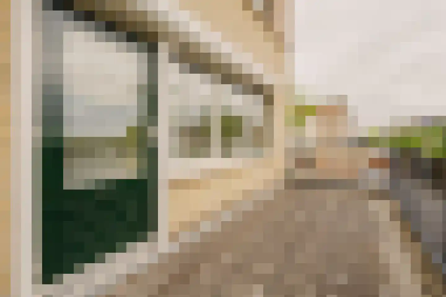 Hélène Swarthstraat 2 Spijkenisse thumbnail 22
