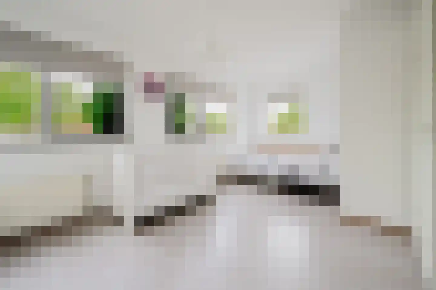 Hélène Swarthstraat 2 Spijkenisse thumbnail 25